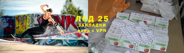 индика Переславль-Залесский