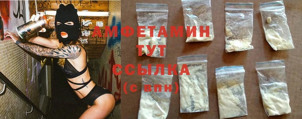 индика Переславль-Залесский