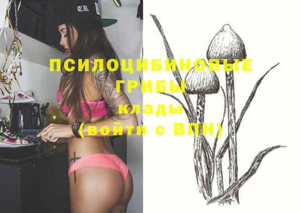 индика Переславль-Залесский