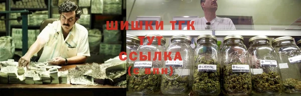 индика Переславль-Залесский