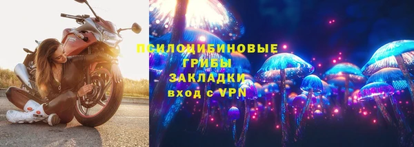 индика Переславль-Залесский